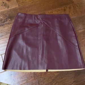 Eden Leather skirt
